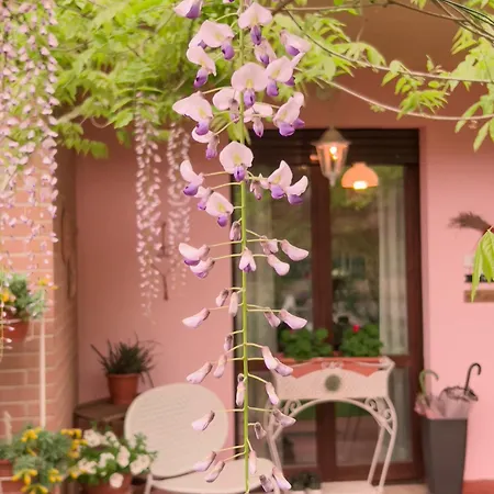 Il Giardino Di Cristina فندق مبيت وإفطار Vagliagli
