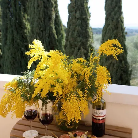 Il Giardino Di Cristina فندق مبيت وإفطار Vagliagli