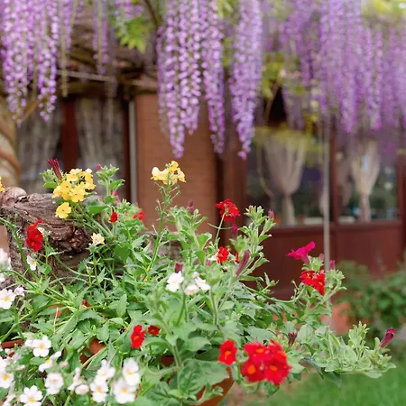 Frühstückspension Il Giardino Di Cristina - A Literary In Chianti