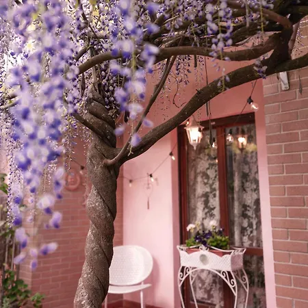 Il Giardino Di Cristina - A Literary In Chianti Frühstückspension