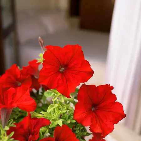 Il Giardino Di Cristina - A Literary In Chianti Frühstückspension