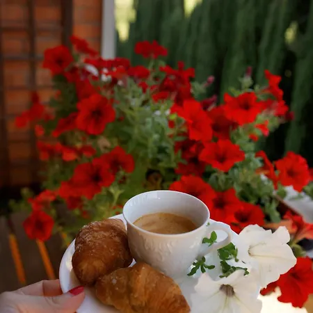 Frühstückspension Il Giardino Di Cristina - A Literary In Chianti