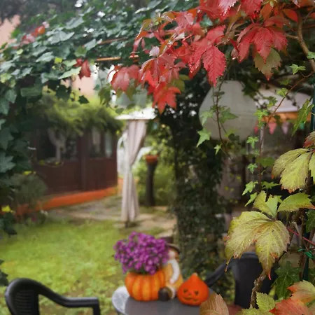 Il Giardino Di Cristina - A Literary In Chianti Frühstückspension Vagliagli