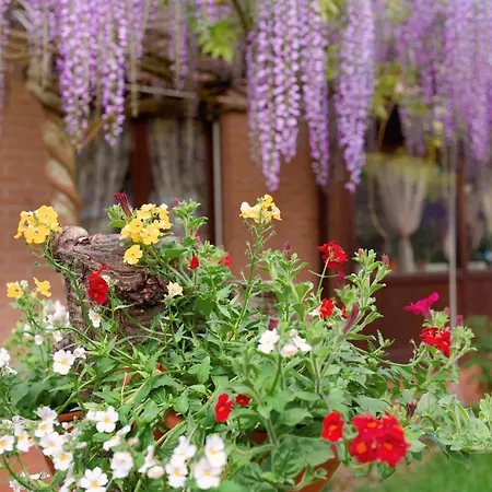 Il Giardino Di Cristina B&B 3* 발리알리