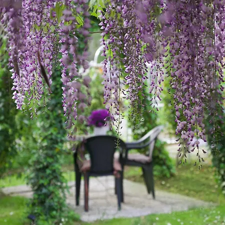 Il Giardino Di Cristina B&B 발리알리