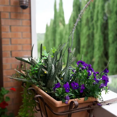 Il Giardino Di Cristina B&B B&B 3*